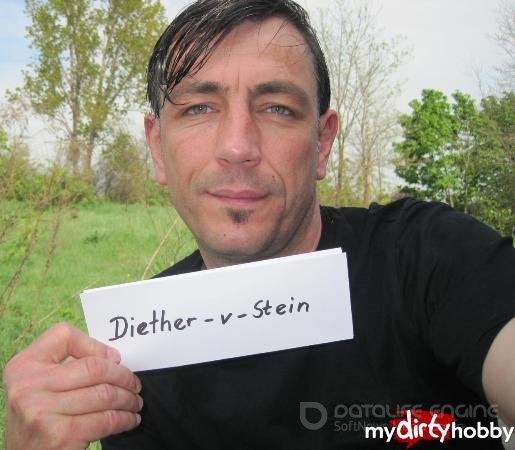 Diether-v-Stein MegaPack